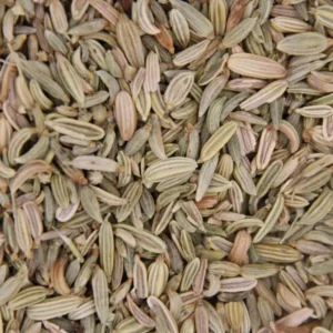 Fenouil