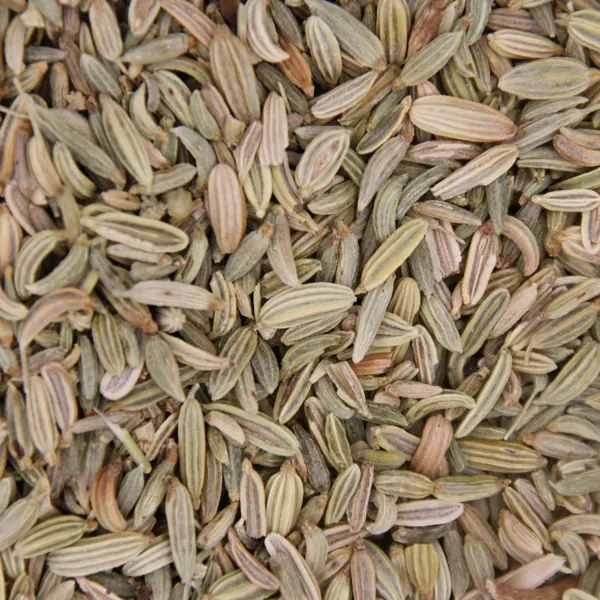 Fenouil