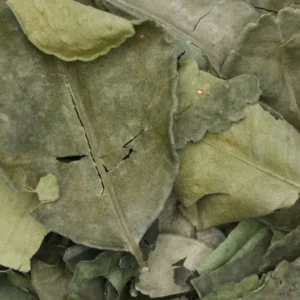 Feuilles kaffir