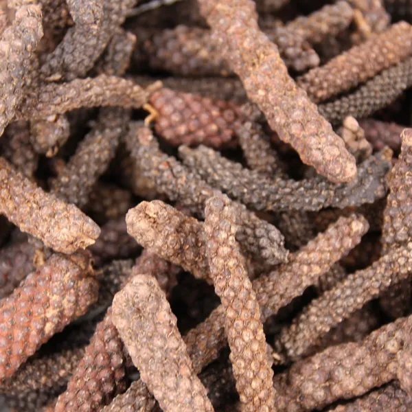 Long Java