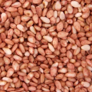 Sésame prune