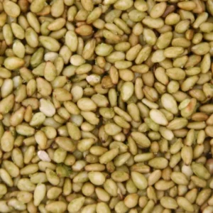 Sésame Wasabi