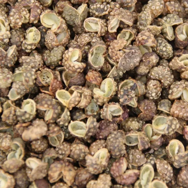 Sichuan vert
